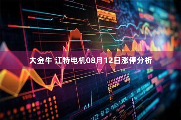 大金牛 江特电机08月12日涨停分析