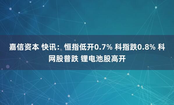 嘉信资本 快讯：恒指低开0.7% 科指跌0.8% 科网股普跌 锂电池股高开