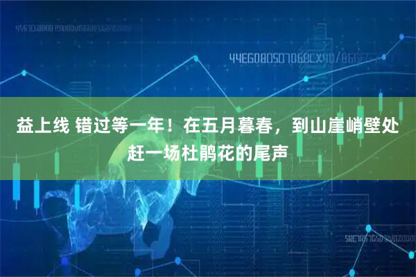益上线 错过等一年！在五月暮春，到山崖峭壁处赶一场杜鹃花的尾声